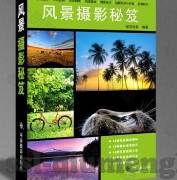 美式足球比分-美式足球比分，赛场风云的数字密码